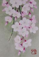 重岡良子「櫻花」日本画